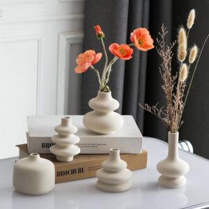 Elegant Ceramic Vase Set